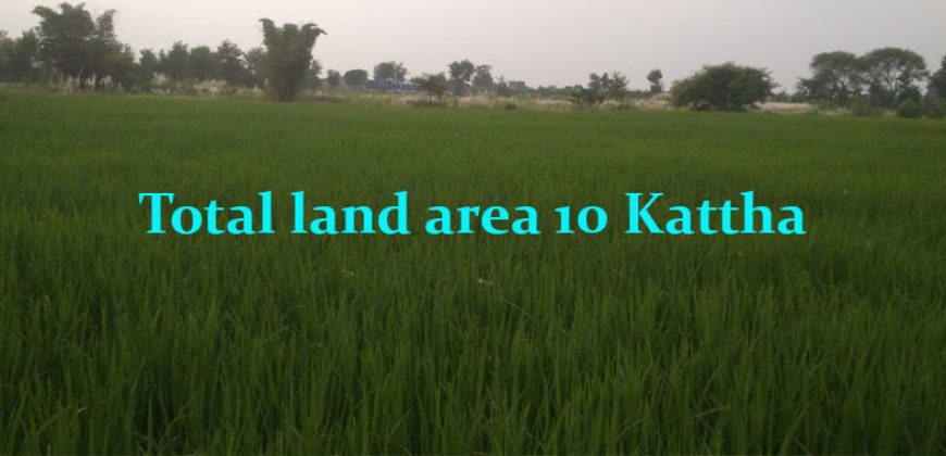 Land for sale, Sakhuwani, Tilottama, Rupandehi