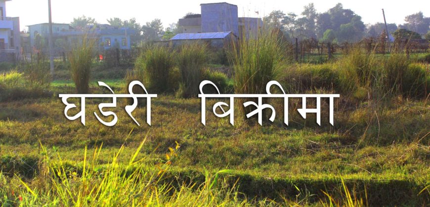 10 Dhur Land and for sale in Sankharnagar, Tilottama