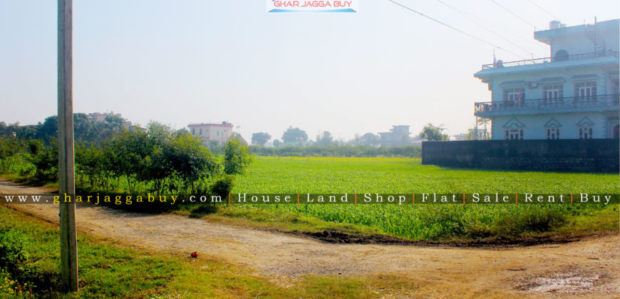Double mohada 1 Kattha Land, Manigram, Rupandehi is for sale