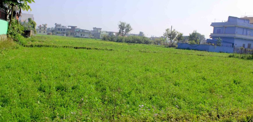 Land on sale in Rupandehi, Nepal. ‘Ghar Jagga Buy’