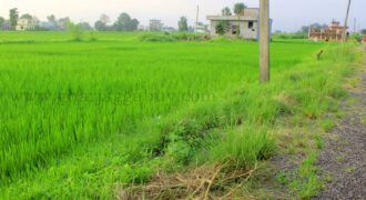 Land for sale in Mangalapur, Rupandehi, near Butwal