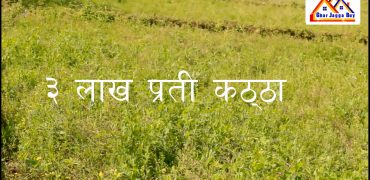 4.5 Bigha land is for sale, 3 lakh per Kattha