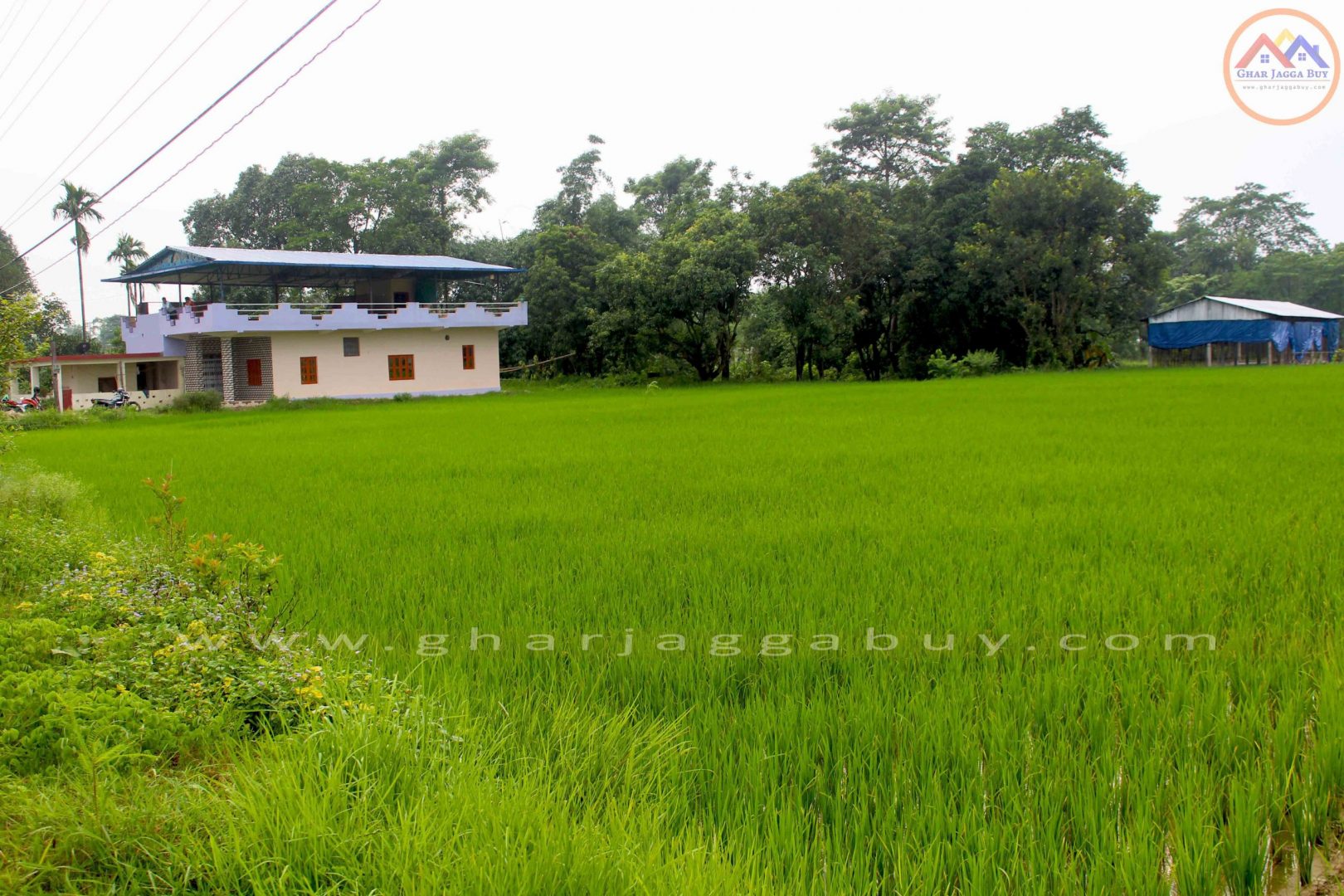 House and Land for sale in  Rupandehi, Devdaha-3