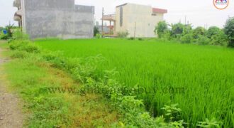 Land for sale in Nayamil, Tilottama, Rupandehi, Nepal