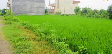Land for sale in Nayamil, Tilottama, Rupandehi, Nepal