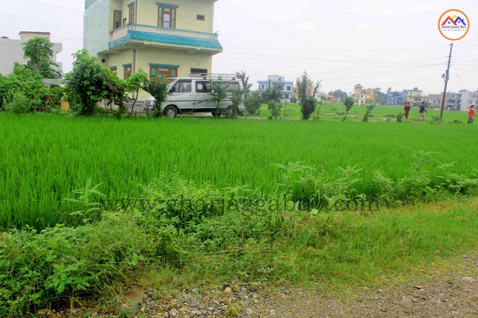 Land for sale in Nayamil, Tilottama, Rupandehi, Nepal