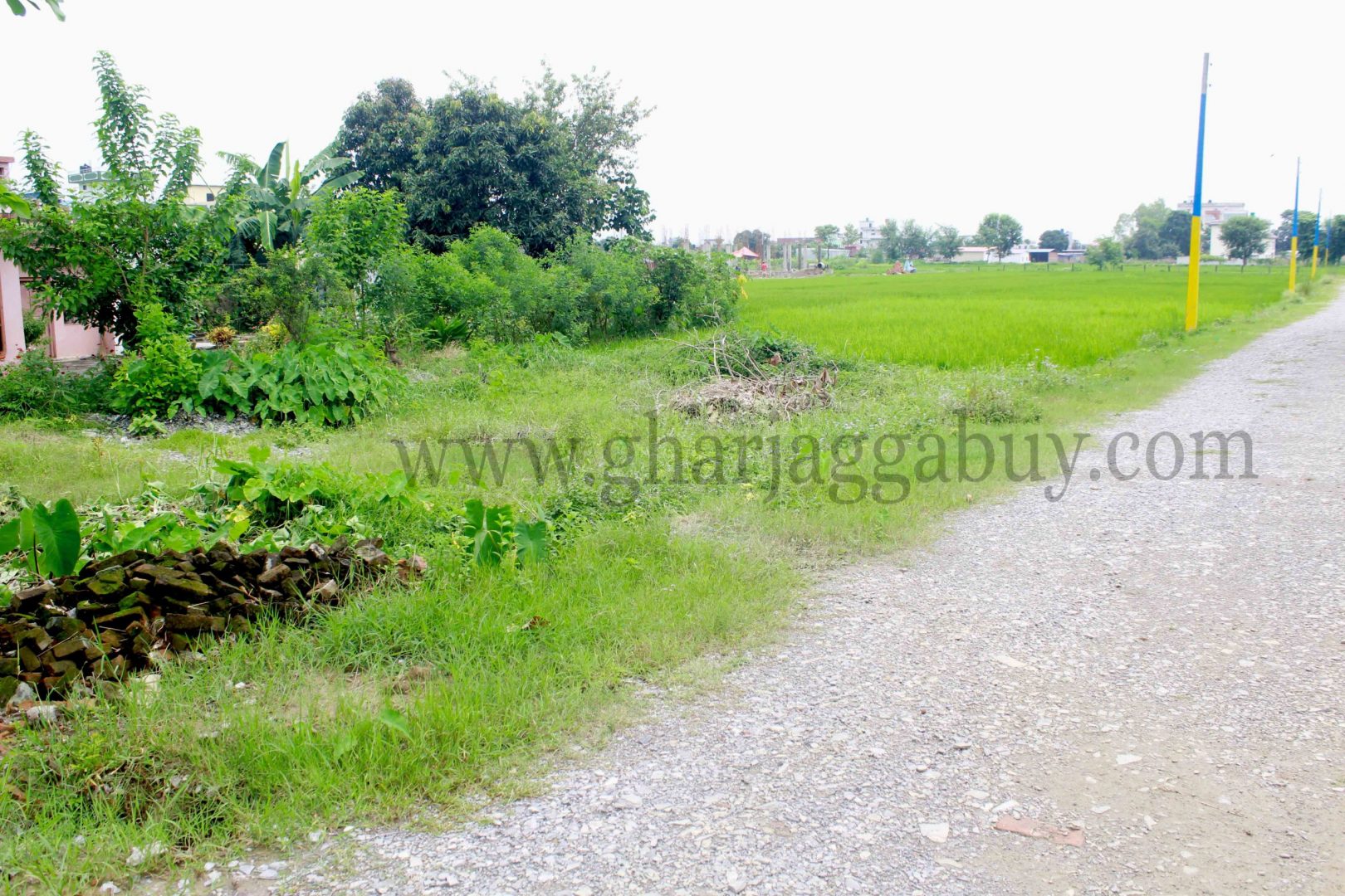 Land for sale in Manigram, Rupandehi near Highway
