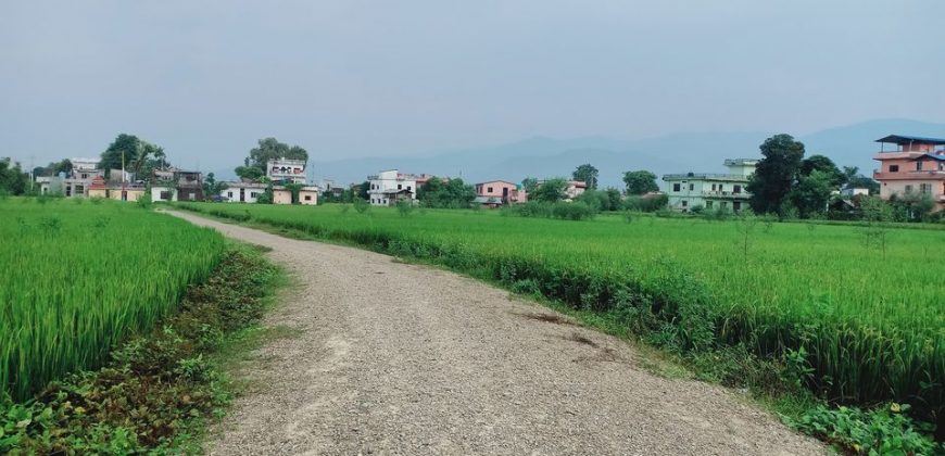 Land for sale in Butwal-12, Rupandehi, Nepal