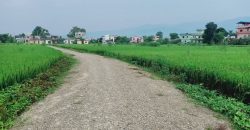 Land for sale in Butwal-12, Rupandehi, Nepal