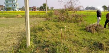 Land for sale in Devdaha-2, Asnaiya Rupandehi