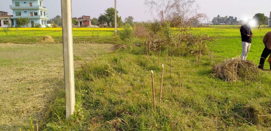 Land for sale in Devdaha-2, Asnaiya Rupandehi