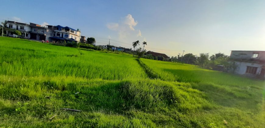 Land for sale in Itahari, Sunsari Nepal