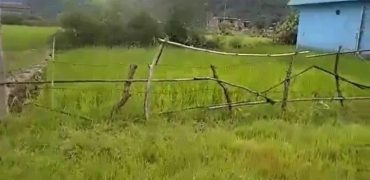 Land for sale in Pokhara-30, Nepal