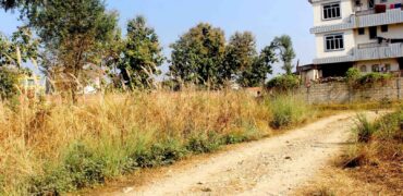 Cheap land for sale in Tilottama-4, Dingarnagar, Rupandehi Nepal