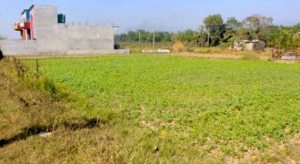 Cheap land for sale in Sunawal, Nawalparasi Argouli, Nepal