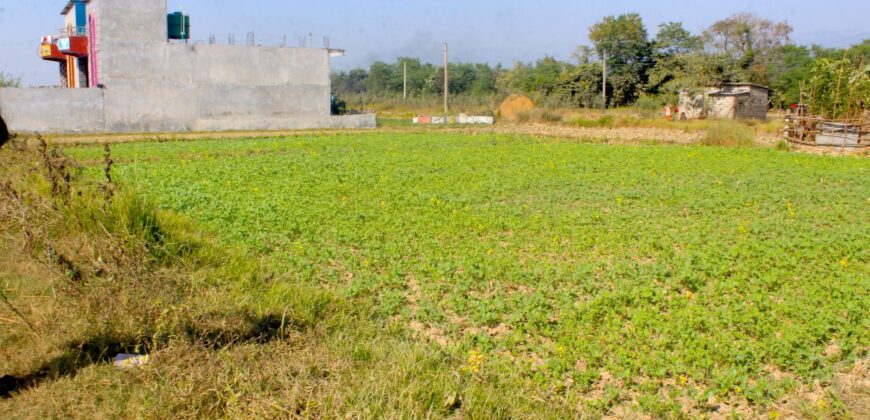 Cheap land for sale in Sunawal, Nawalparasi Argouli, Nepal