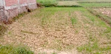 Land for sale in Murgiya, Rupandehi, Nepal
