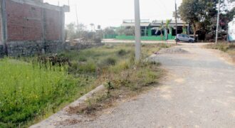 Good ghaderi is for sale in Nawalparasi, Near the main road