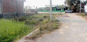 Good ghaderi is for sale in Nawalparasi, Near the main road