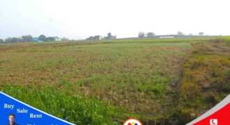 Land for sale in Tilottama, Rupandehi Nepal