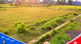 Land for sale in Shankarnagar Tilottama, Rupandehi