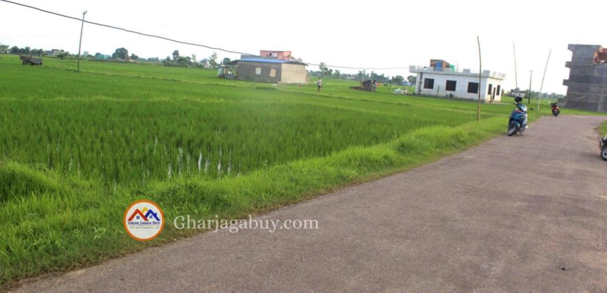 Cheap land for ghaderi is sale in Tilottama Rupandehi