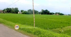 Cheap land for ghaderi is sale in Tilottama Rupandehi