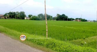 Cheap land for ghaderi is sale in Tilottama Rupandehi