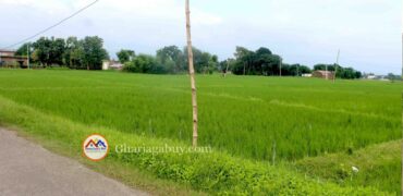 Cheap land for ghaderi is sale in Tilottama Rupandehi