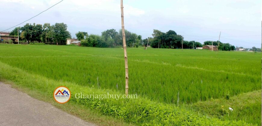 Cheap land for ghaderi is sale in Tilottama Rupandehi