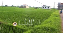 Cheap land for ghaderi is sale in Tilottama Rupandehi