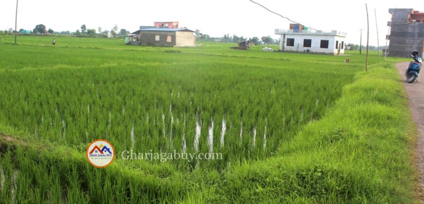 Cheap land for ghaderi is sale in Tilottama Rupandehi