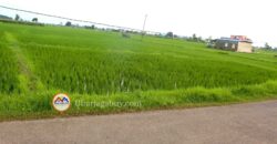 Cheap land for ghaderi is sale in Tilottama Rupandehi