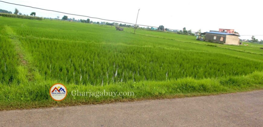 Cheap land for ghaderi is sale in Tilottama Rupandehi