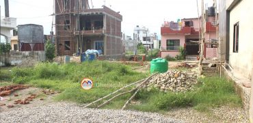 Cheap land for sale in Drivertole Rupandehi Nepal