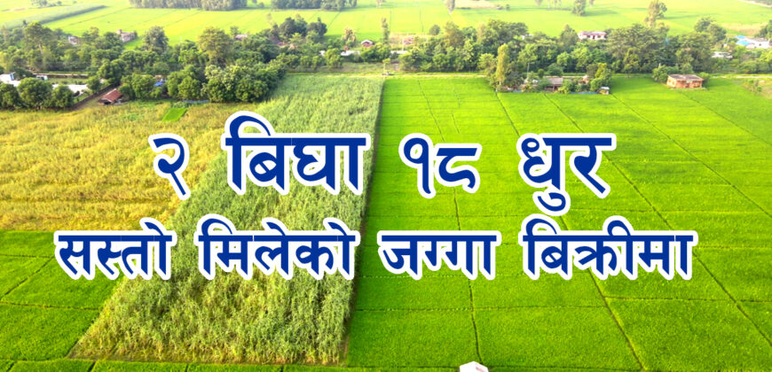 Land for sale in Kanchanpur Purnabas Municipality