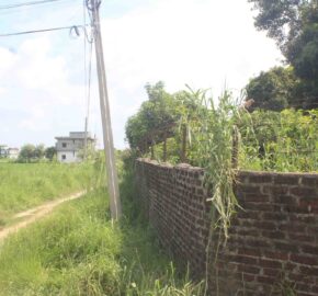 Land for sale near Bhairahawa Rupandehi Nepal