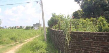 Land for sale near Bhairahawa Rupandehi Nepal