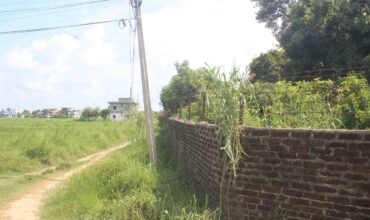 Land for sale near Bhairahawa Rupandehi Nepal