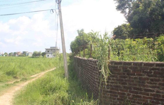 Land for sale near Bhairahawa Rupandehi Nepal
