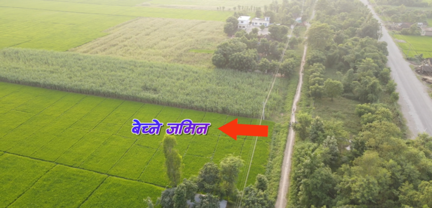 Land for sale in Kanchanpur Purnabas Municipality