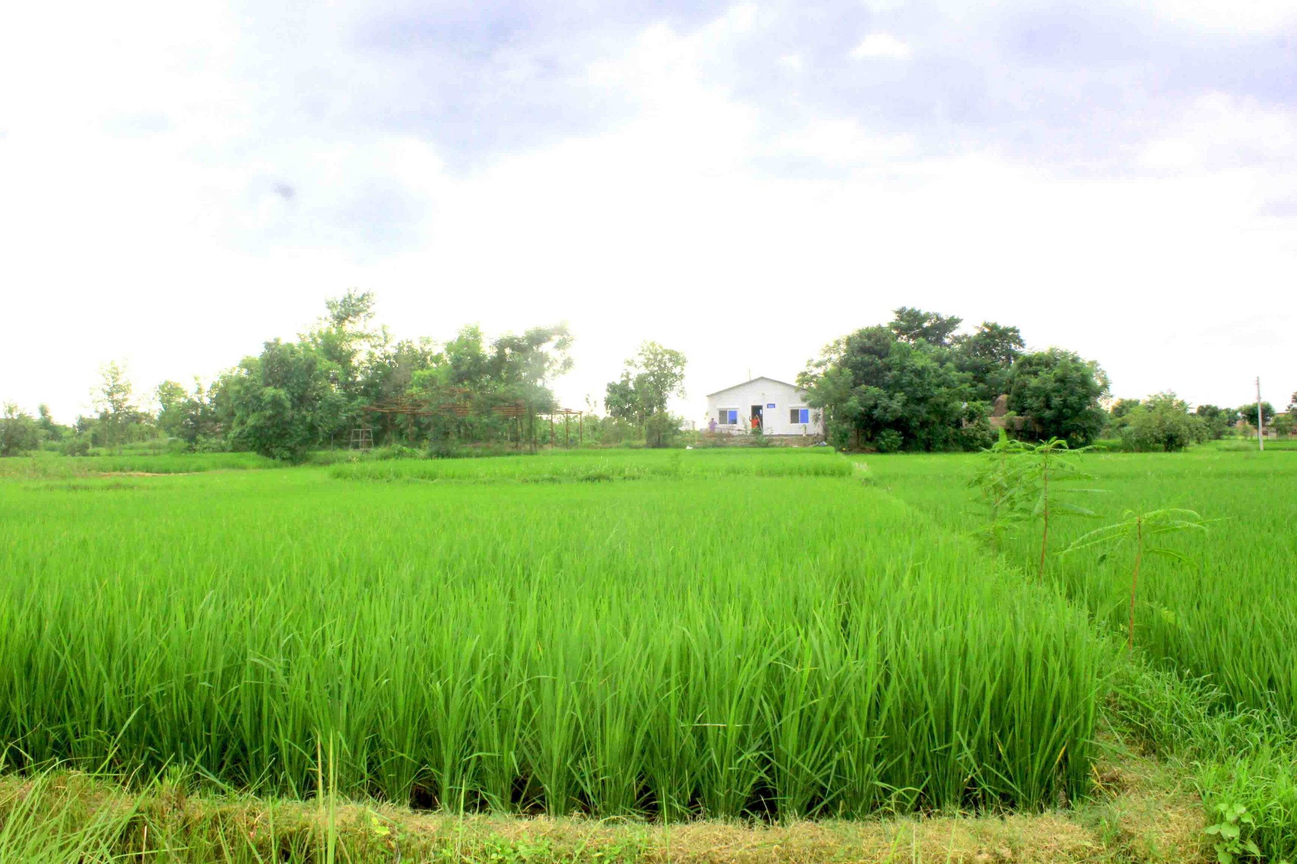 Cheap house and land for sale in Nawalparasi