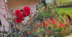 Beautiful 1 Story 5 Aana House with Mountain View in Bansbari, Dakshinkali for 1 Crore Only