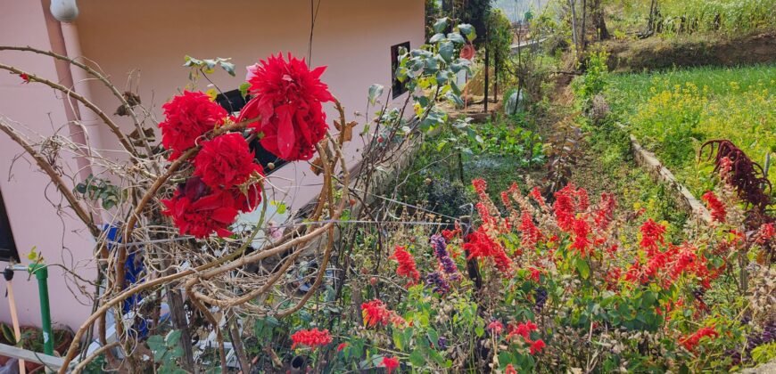 Beautiful 1 Story 5 Aana House with Mountain View in Bansbari, Dakshinkali for 1 Crore Only