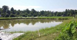 Affordable One Bigha Land for Sale in Kapilvastu Nepal