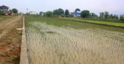 Prime Land for Sale in Butwal, Rupandehi, Nepal