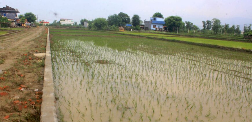 Prime Land for Sale in Butwal, Rupandehi, Nepal