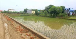 Prime Land for Sale in Butwal, Rupandehi, Nepal