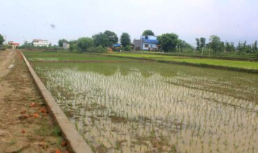 Prime Land for Sale in Butwal, Rupandehi, Nepal