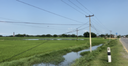 Land in Lumbini, Kapilvastu